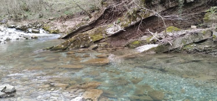 22 MARZO, GIORNATA MONDIALE DELL’ACQUA